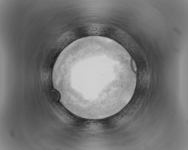 X0000111030601200908061437