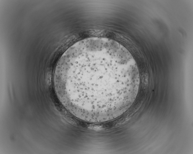 X0000111030602200908061437