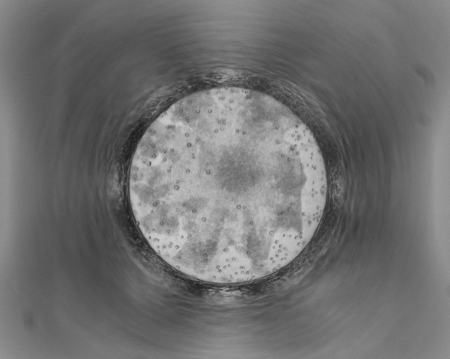 X0000111030607200908061437