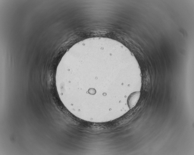 X0000111030608200908061437