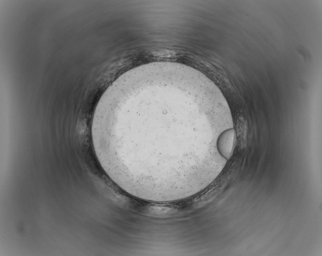 X0000111030614200908061437