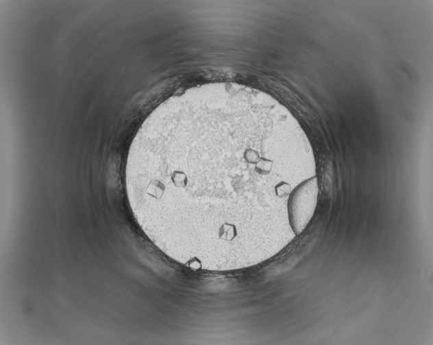 X0000111030616200908061437