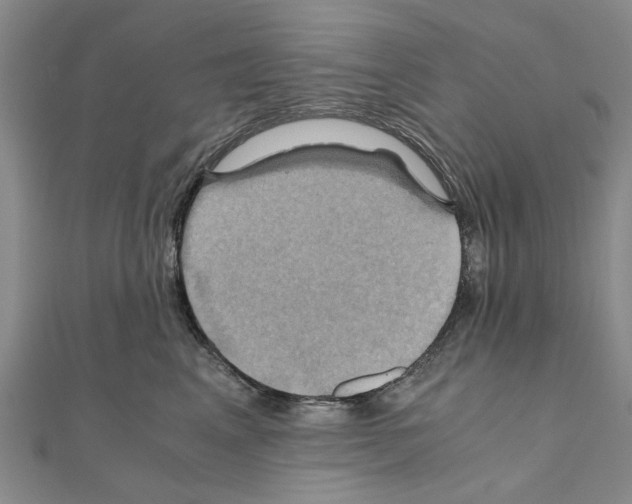 X0000111030617200908061437