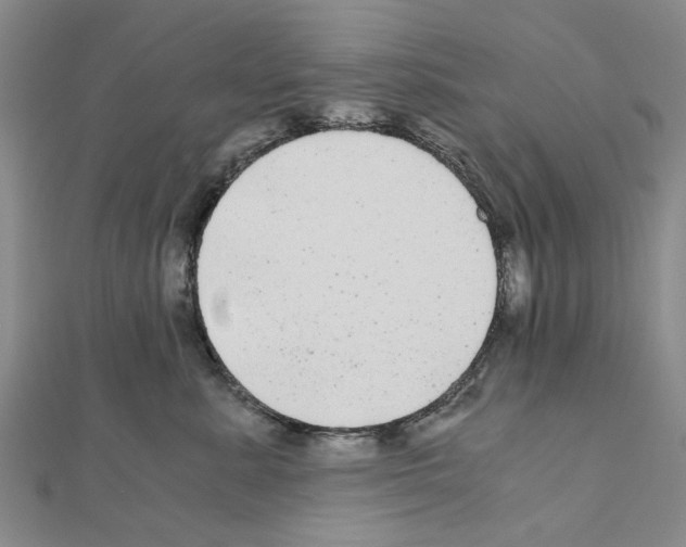 X0000111030619200908061437
