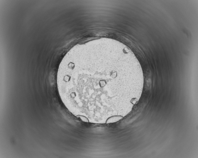 X0000111030620200908061437