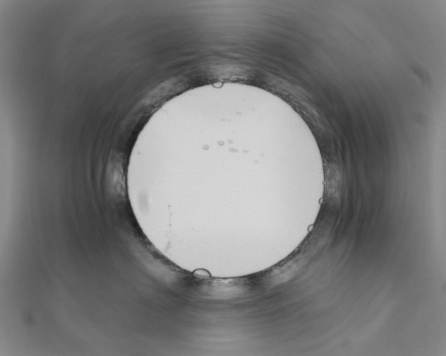 X0000111030622200908061437