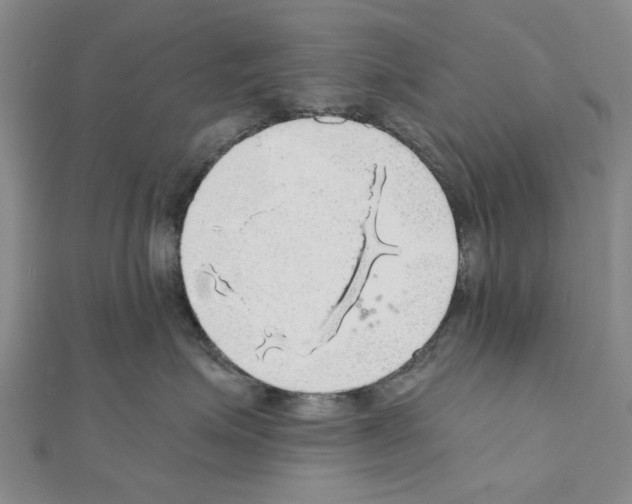 X0000111030623200908061437
