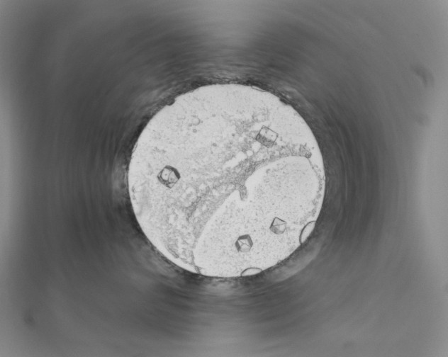 X0000111030624200908061437