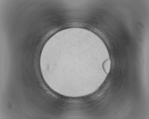 X0000111030625200908061436