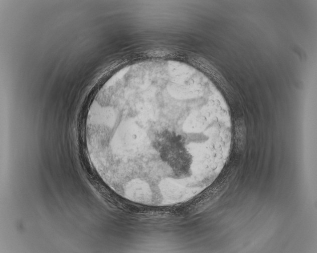 X0000111030626200908061436