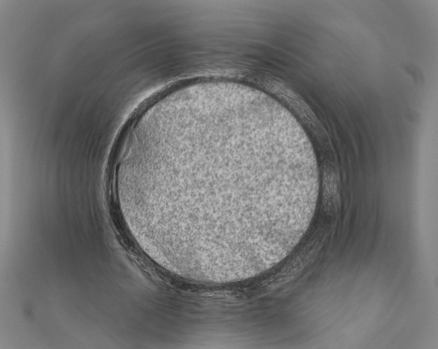 X0000111030628200908061436