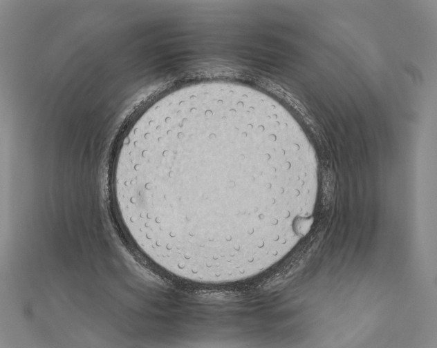 X0000111030629200908061436