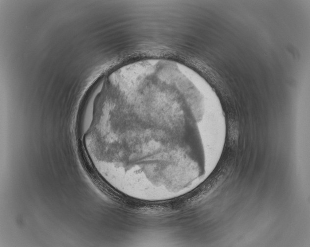 X0000111030630200908061436