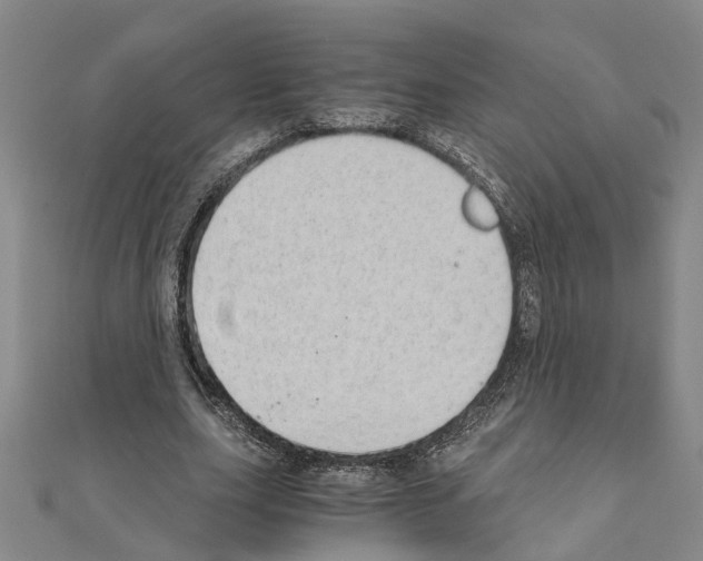 X0000111030631200908061436