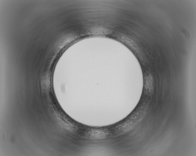 X0000111030632200908061436