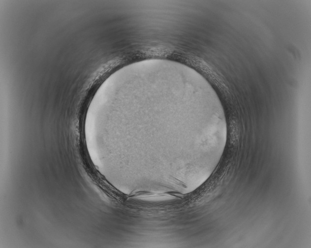 X0000111030634200908061436