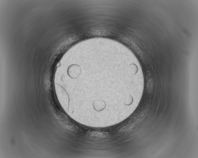 X0000111030635200908061436