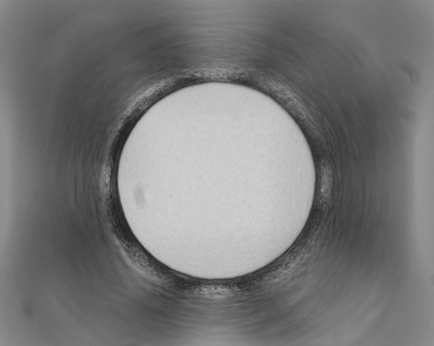 X0000111030636200908061436