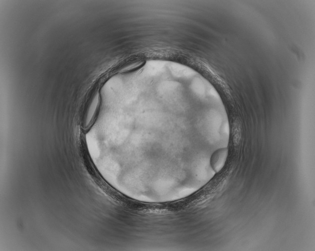 X0000111030637200908061437