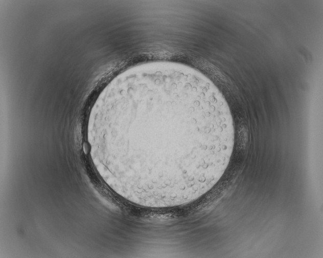 X0000111030638200908061437