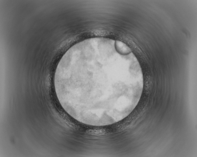 X0000111030639200908061437
