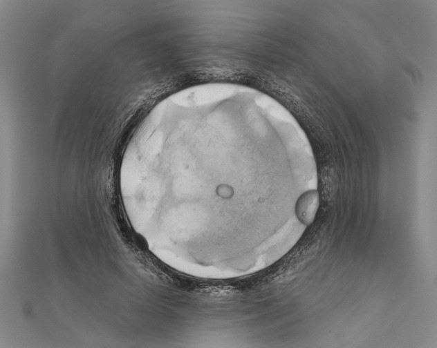 X0000111030642200908061437