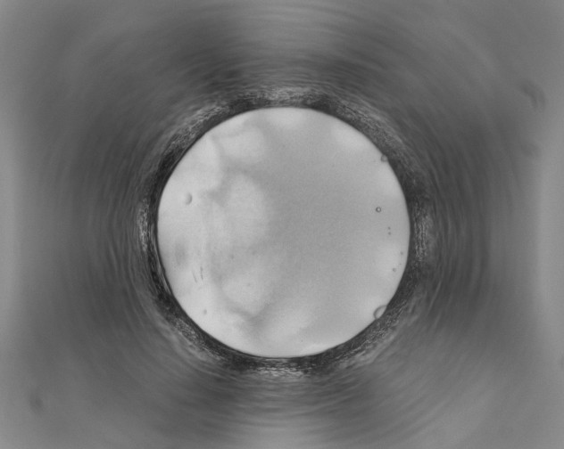 X0000111030644200908061437