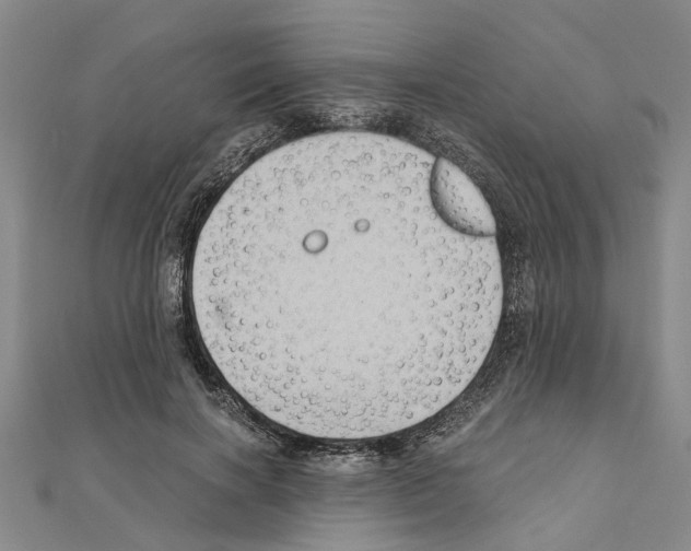 X0000111030646200908061437
