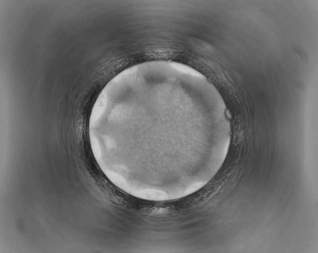 X0000111030647200908061437