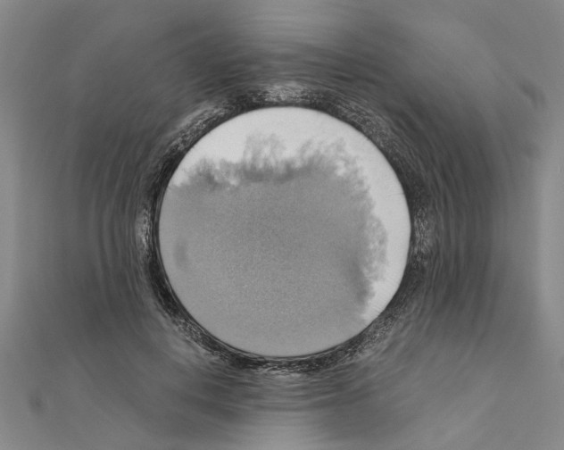 X0000111030648200908061437