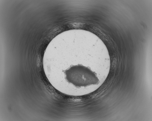 X0000111030651200908061437