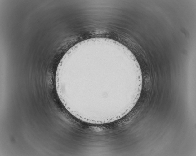 X0000111030654200908061437