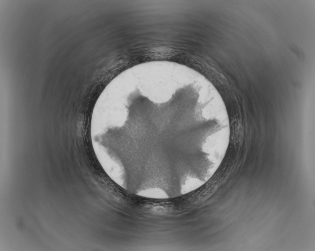 X0000111030655200908061437