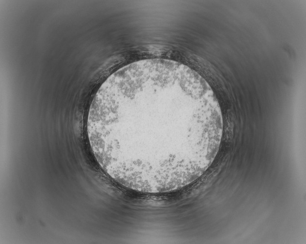 X0000111030656200908061437