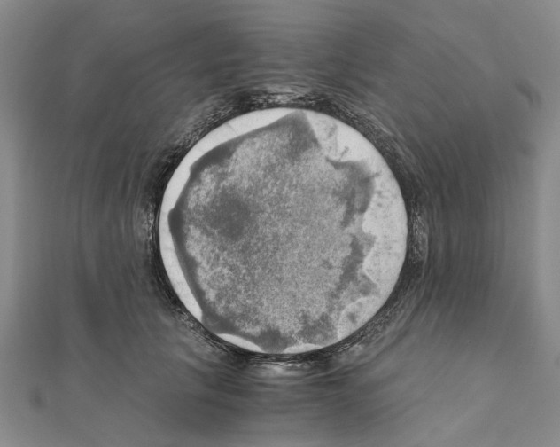 X0000111030657200908061437