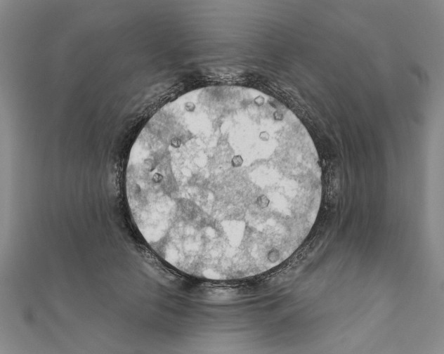 X0000111030658200908061437