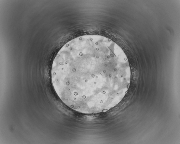 X0000111030662200908061437