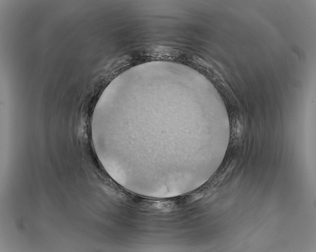 X0000111030663200908061437