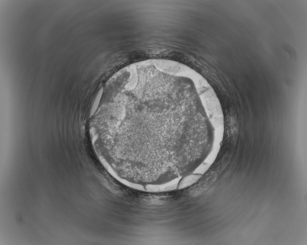 X0000111030664200908061437