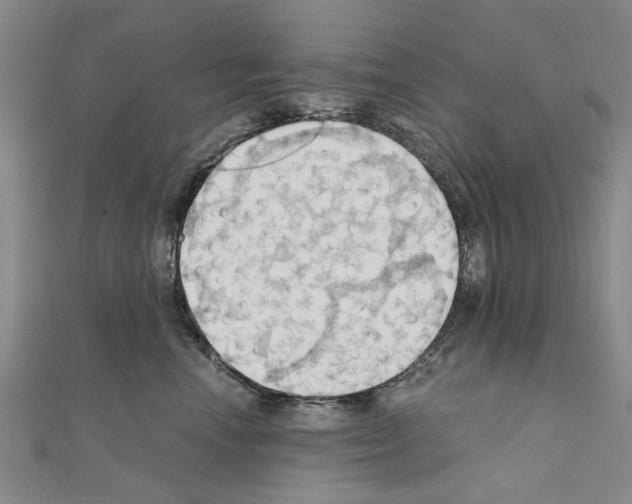 X0000111030666200908061437