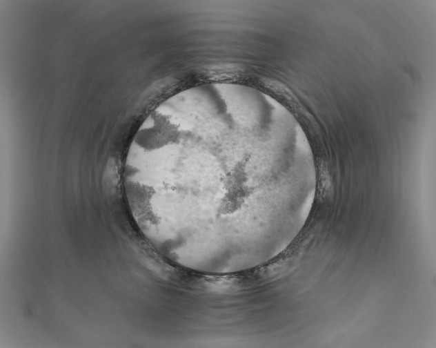 X0000111030667200908061437