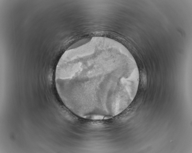 X0000111030668200908061437