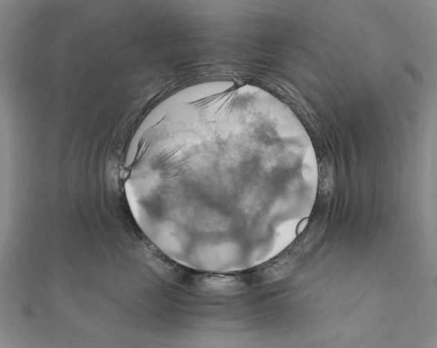 X0000111030669200908061437