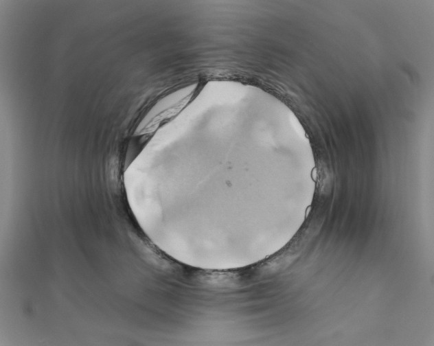 X0000111030670200908061437