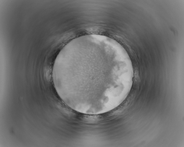 X0000111030671200908061437