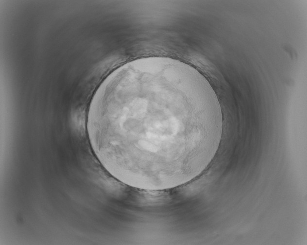 X0000111030672200908061437