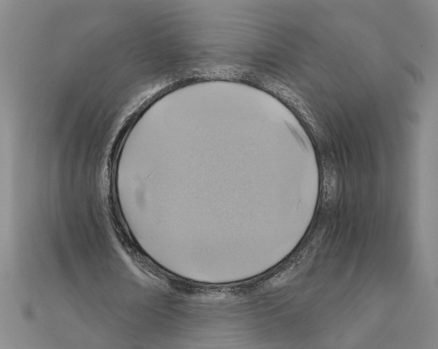X0000111030674200908061436