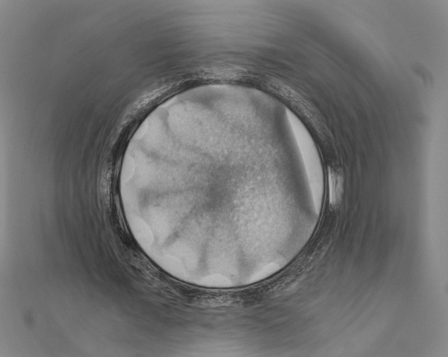 X0000111030675200908061436