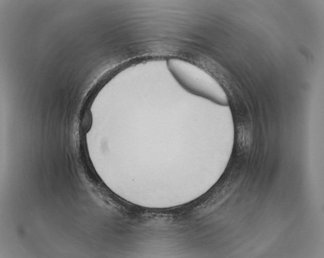 X0000111030676200908061436