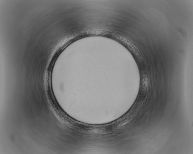X0000111030678200908061436